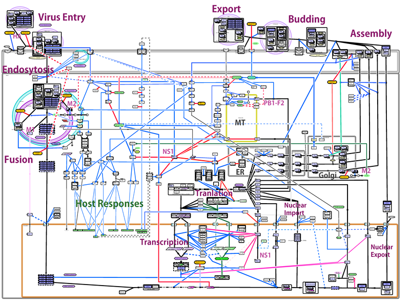 FluMap Simple